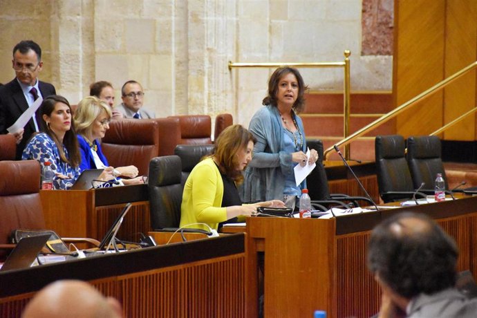 La consejera de Salud y Consumo de la Junta de Andalucía, Catalina García, en el Pleno del Parlamento