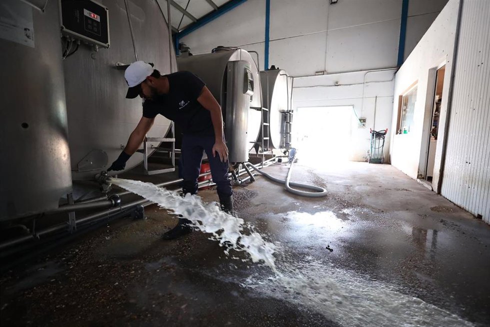 Detalle de una vaquería en la provincia de Sevilla tras el segundo día de protestas de los ganaderos por el bajo precio de la compra de leche a 2 de mayo de 2023 en Sevilla (Andalucía, España). 
