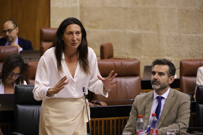 López pide a los parlamentarios que marquen la 'X solidaria' en la Renta para "mejorar la vida de miles de andaluces"