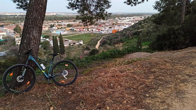 Archivo - Imagen de la zona del "coto" de Mairena del Aljarafe