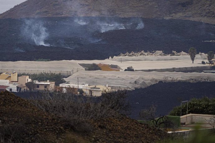 Archivo - Naves afectadas por la lava del volcán de Cumbre Vieja, en la isla de La Palma.