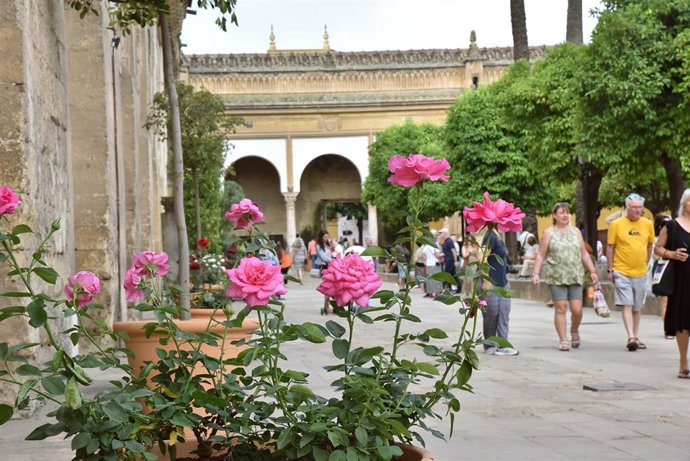Archivo - Una muestra de la ornamentación floral especial en el Patio de los Naranjos durante el mes de mayo.