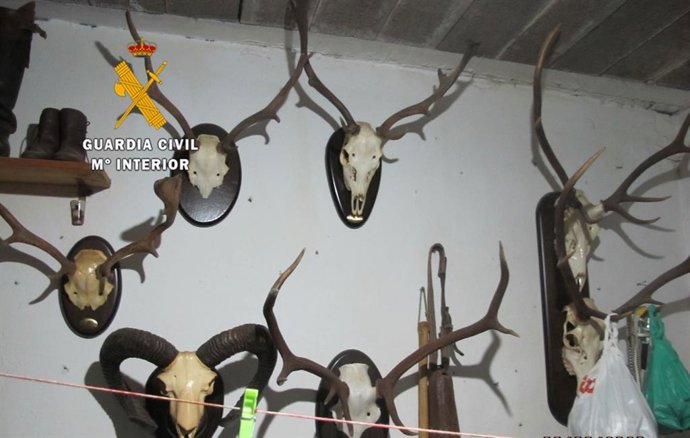 Rtdo. 2 Notas De Prensa