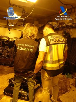 Un agente de la Policía Nacional y otro de la Agencia Tributaria, en el cultivo desmantelado