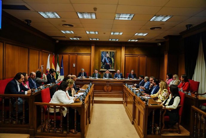Pleno de la Diputación de Almería.