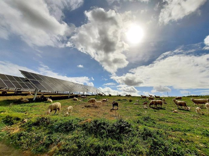 Parque fotovoltaico de Capital Energy