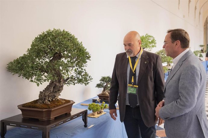 El delegado de Medio Natural y Carreteras de la Diputación, Francisco Palomares (dcha.), visita la exposición de bonsáis.