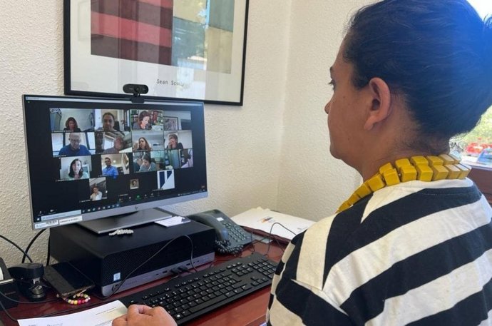 Comisión de Urbanismo del Consell de Mallorca celebrada de forma telemática.