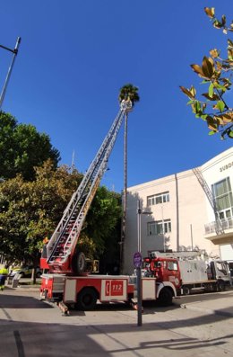 Aplicación de tratamiento con ayuda de una autoescala.