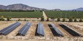 Foto: Viña Concha y Toro logra abastecerse 100% de energía renovable