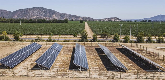 Viña Concha y Toro logra abastecerse 100% de energía renovable