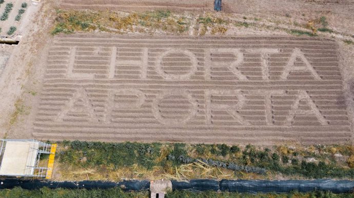 Miradors de lHorta busca instalaciones efímeras Con los pies en la tierra para su cuarta edición