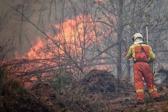 Archivo - Bomberos de Asturias treabajan en el incendio de los concejos de Valdes y Tineo, a 30 de marzo de 2023, en Asturias (España). La consejera de Presidencia del Gobierno asturiano, Rita Camblor, se ha referido este jueves a los numerosos incendio