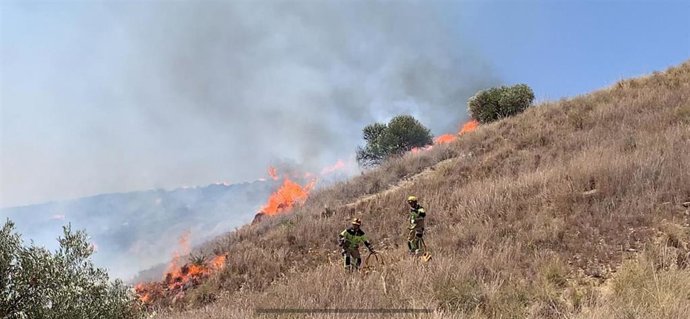 Bomberos actúan en el incendio del paraje Jibajas de Turre (Almería).