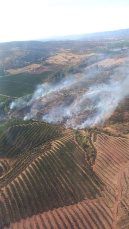 Declarado un incendio en un paraje de Cantillana con dos medios aéreos desplegados