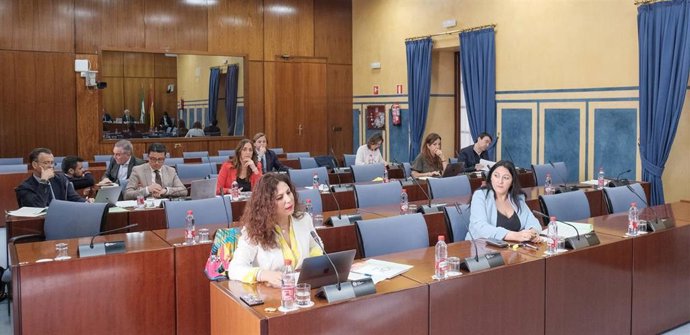 Archivo - Diputados en la comisión de control de la RTVA y sus sociedades filiales del Parlamento andaluz. (Foto de archivo).