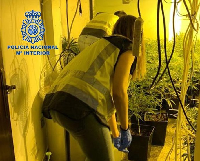 Nota De Prensa "La Policía Nacional Desmantela Dos Puntos De Cultivo Y Venta De Droga Y Detiene A Ocho Personas"