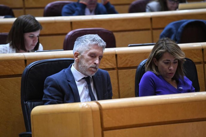 El ministro del Interior, Fernando Grande-Marlaska.