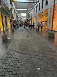 Sanz afea a Muñoz la falta de un dispositivo de limpieza por la final de Copa y "mugre" en calles del centro de Sevilla