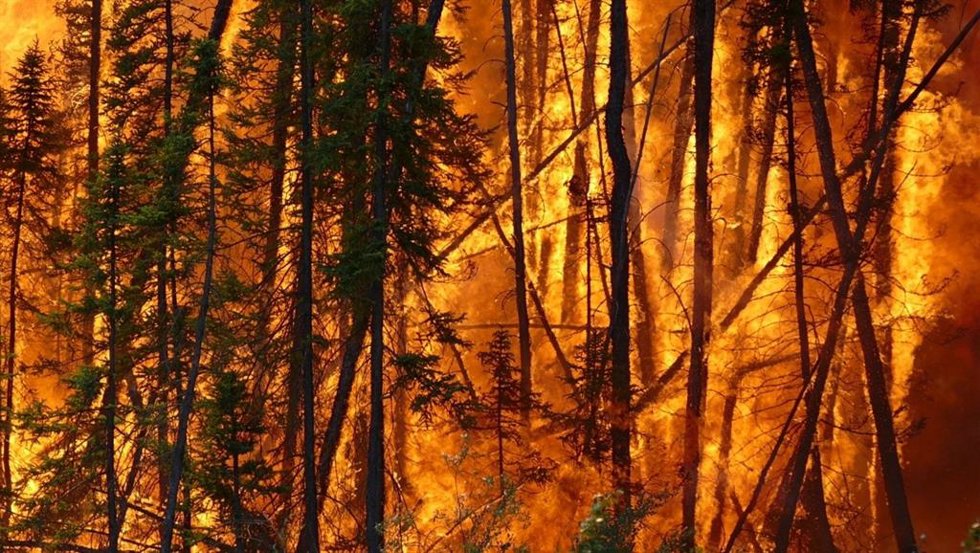 Archivo - Imagen de archivo de un incendio boreal en Canadá