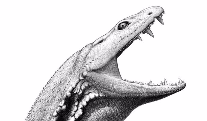 Crassigyrinus estaba bien adaptado para la vida como depredador acuático.