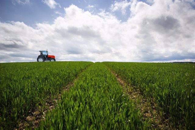 Archivo - Cepsa y el CSIC estudian desarrollo de cultivos energéticos de cobertura en zonas rurales para producir biocombustibles