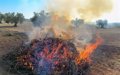 Andalucía prolonga la prohibición de las quemas agrícolas para prevenir incendios forestales hasta el 15 de octubre