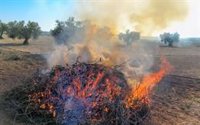 Andalucía prolonga la prohibición de las quemas agrícolas para prevenir incendios forestales hasta el 15 de octubre