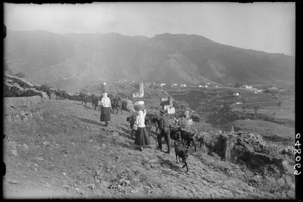 La Palma en los años 30