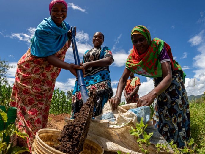 Roll With Green - Trees for the Future.