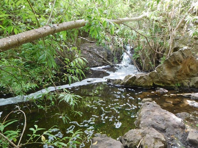 Barranco de Azuaje, en Gran Canaria