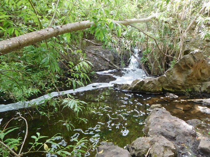 Barranco de Azuaje, en Gran Canaria