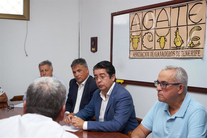 El presidente del Cabildo de Tenerife, Pedro Martín (c), en una reunión con Agate