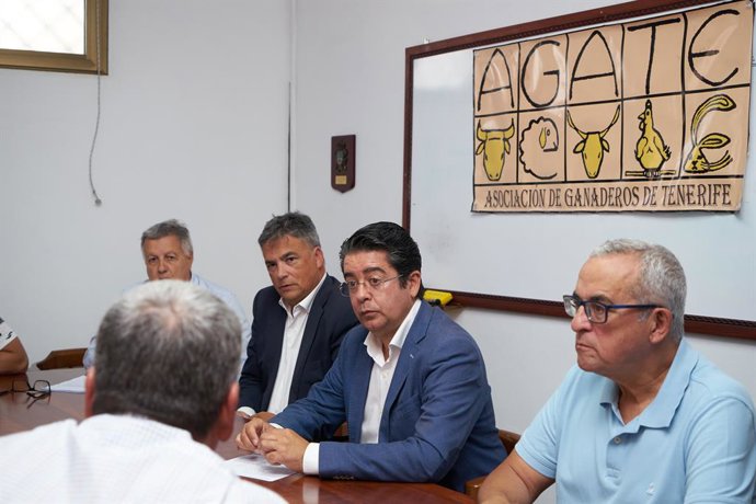 El presidente del Cabildo de Tenerife, Pedro Martín (c), en una reunión con Agate