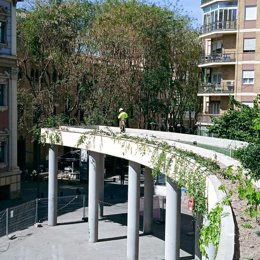 Finalizan los trabajos de ajardinamiento de la pérgola de la Plaza de la Universidad