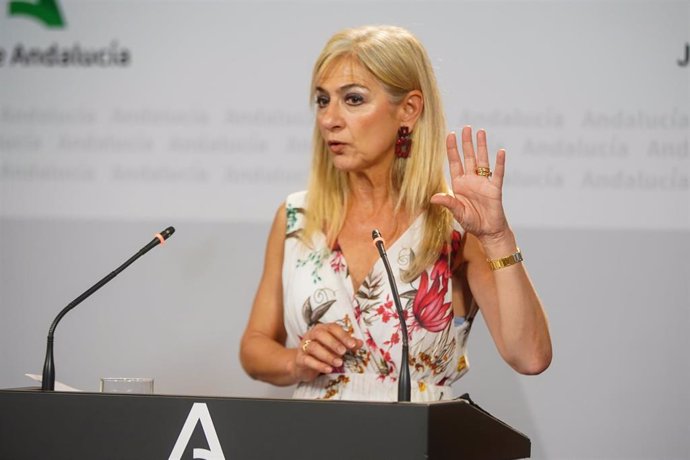 La consejera de Desarrollo Educativo, Patricia del Pozo, este martes en la rueda de prensa del Consejo de Gobierno.