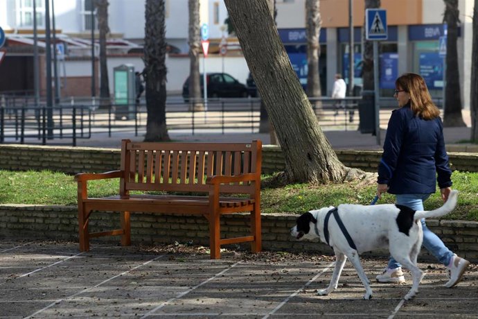 Archivo - San Fernando instala en parques y plazas más de 900 bancos fabricados con plástico reciclado