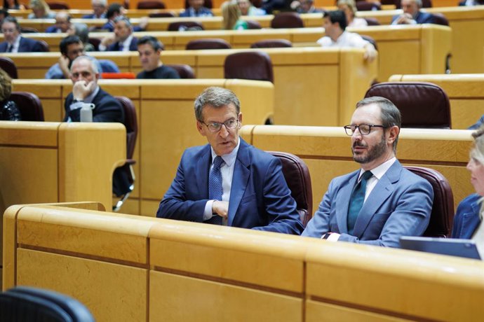 El presidente del PP, Alberto Núñez Feijóo (i), y el portavoz del PP en el Senado, Javier Maroto (d), conversan durante una sesión plenaria en el Senado, a 26 de abril de 2023, en Madrid (España). La sesión en el Senado debate y vota la reforma de la le