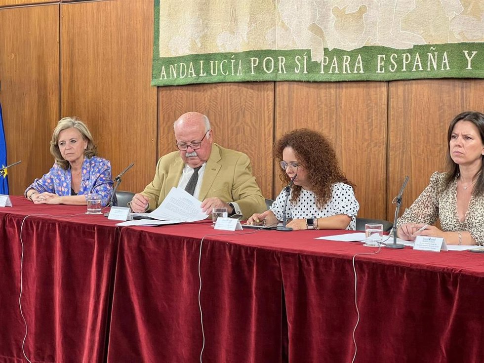 Cermi Andalucía exige en el Parlamento que se garantice la participación política de las personas con discapacidad.