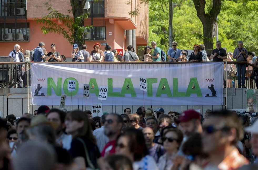 Varias personas se manifiestan a favor de la vegetación urbana y contra la destrucción de parques y la tala de árboles, en el Parque de Arganzuela, a 6 de mayo de 2023, en Madrid (España). 