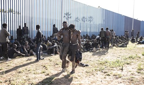 Migración