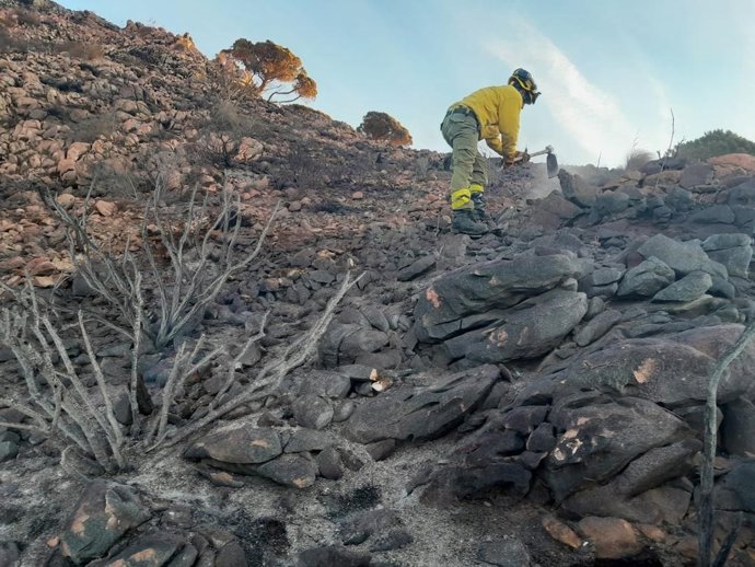 Tareas de liquidación y remate de un incendio forestal.