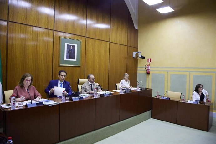 El consejero  de Justicia, Administración Local y Función Pública, José Antonio Nieto, en comisión parlamentaria.