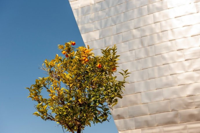 Fachada del edificio del Guggenheim Bilbao