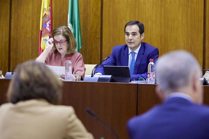 El consejero de Justicia, Administración Local y Función Pública, José Antonio Nieto, en comisión parlamentaria.