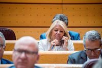El Senado aplaza para después de las elecciones el informe de la investigación a la alcaldesa de Marbella
