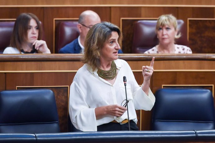 La vicepresidenta tercera y ministra para la Transición Ecológica y el Reto Demográfico, Teresa Ribera, interviene durante una sesión plenaria en el Congreso de los Diputados, a 10 de mayo de 2023, en Madrid (España). Durante el pleno, el ministro de Indu