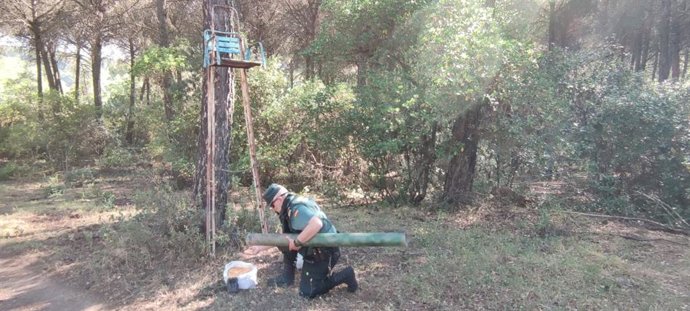 Un agente de la Guardia Civil junto al puesto de tiro elevado instalado por el investigado.