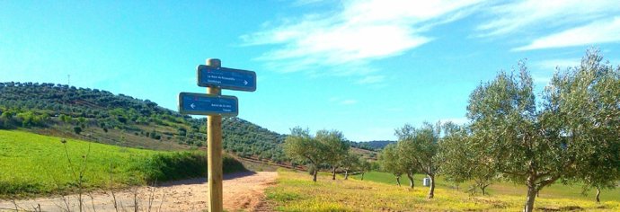 Imagen del recorrido del sendero de Guadalupe