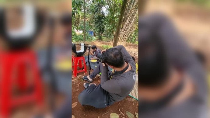 Este fotógrafo capta a unas hormigas transportando fruta diez veces más grandes que ellas